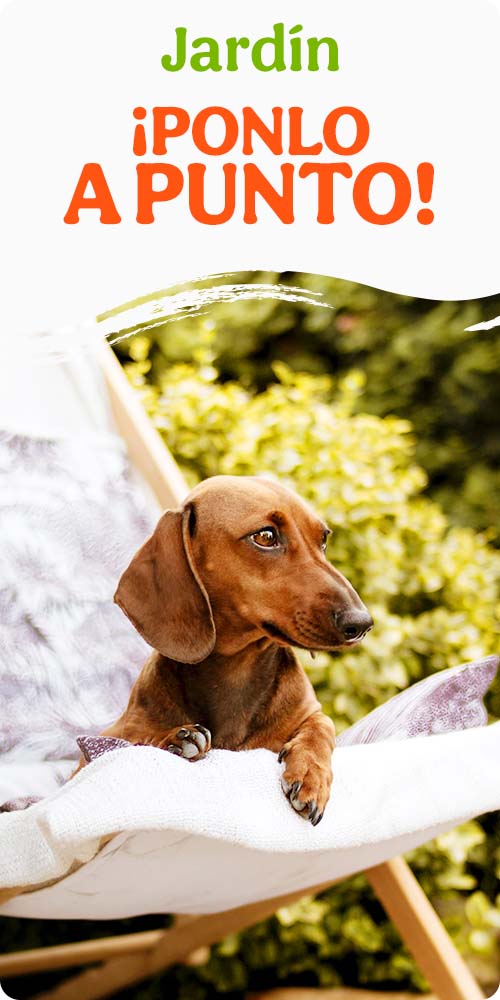 Ofertas en rascadores