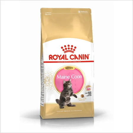 Royal Canin Maine Coon pienso para gatitos