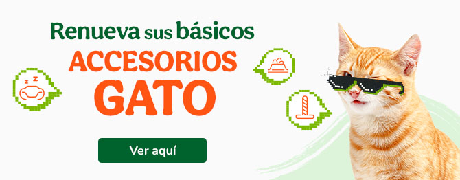 Los mejores accesorios para gato.