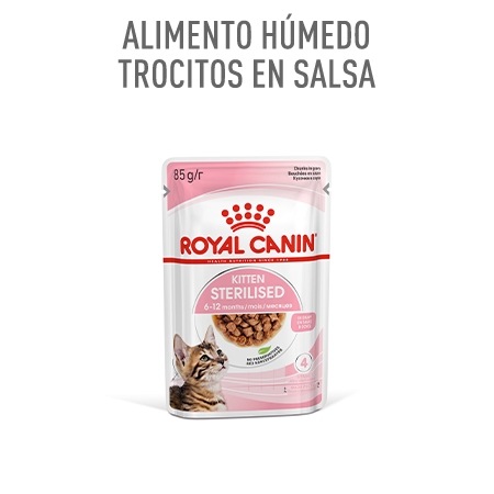 Royal Canin Kitten Sterilised salsa sobre comida húmeda para gatitos esterilizados