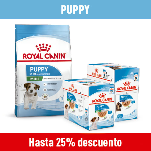 Hasta 25% dto en piensos para tu cachorro.