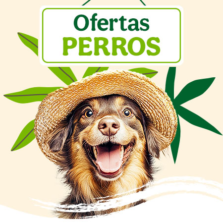 Ofertas perro