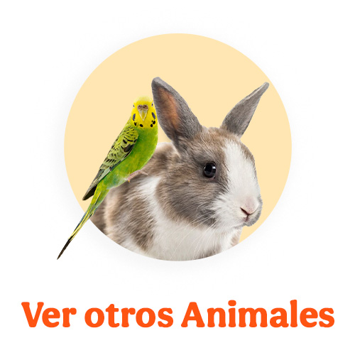 Ofertas otros animalitos