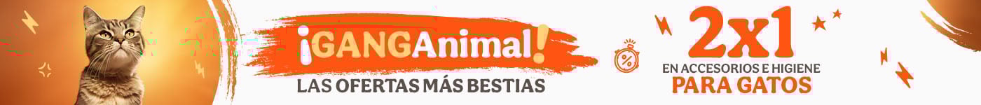 Ganganimal: 2x1 en accesorios para gatos.