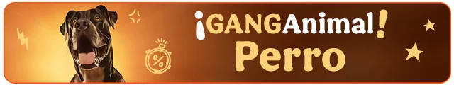 ¡Ganganimal! Los mejores accesorios para perro.