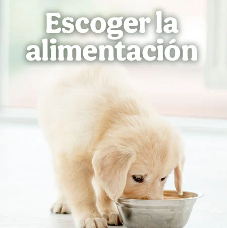 Escoger la alimentación