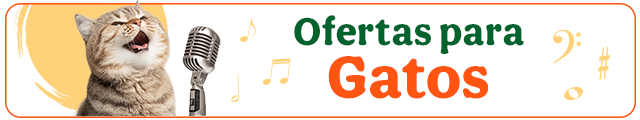 Todas las ofertas gato