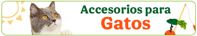 Los mejores accesorios para gato.