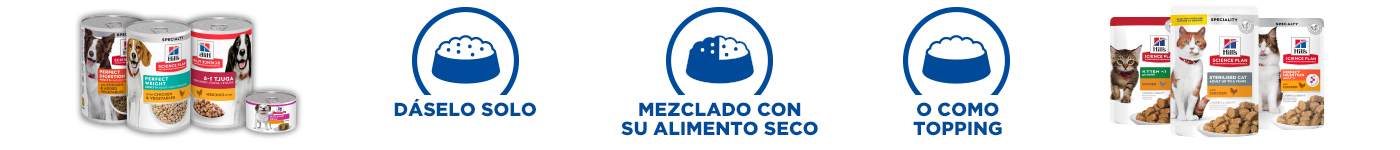 Explora diferentes formas de darle su alimento húmedo: sólo, con alimento seco o como topping