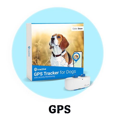 GPS