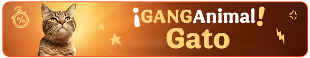 ¡Ganganimal! Los mejores accesorios para gato.