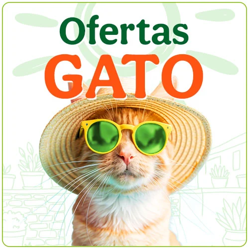 Ofertas gato