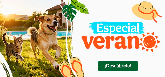 Especial verano con súper precios.