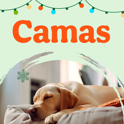 Ofertas camas