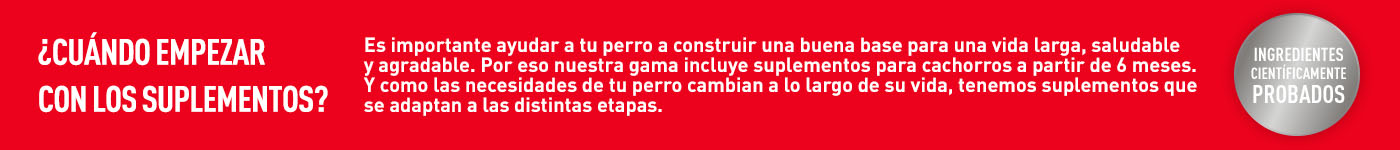 ¿Cuándo empezar con los suplementos? Es importante ayudar a tu perro para una vida más larga. Suplementos adaptamos a cada etapa