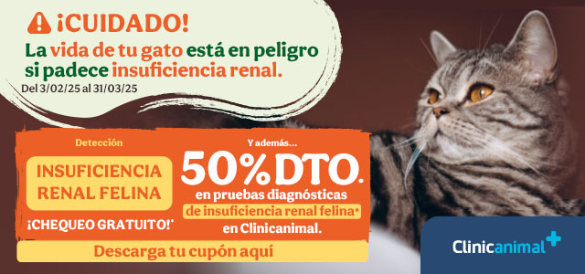 50% de descuento en pruebas diagnósticas de insuficiencia renal felina