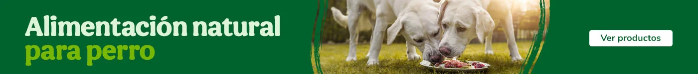 Alimentación natural para perro