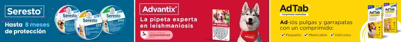 Advantix, Seresto y Ad Tab: Productos Antiparasitarios para tu peludo.
