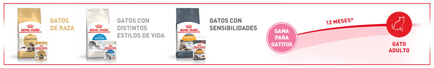 Royal canin. Alimentación para cada etapa de vida, raza o necesidad. Desde gatito a gato adulto