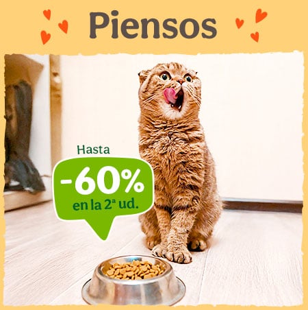 Piensos para Gatos: Hasta 60% dto en la 2ª unidad de piensos para tu gato.