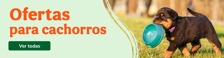 Promociones especiales para tu cachorro