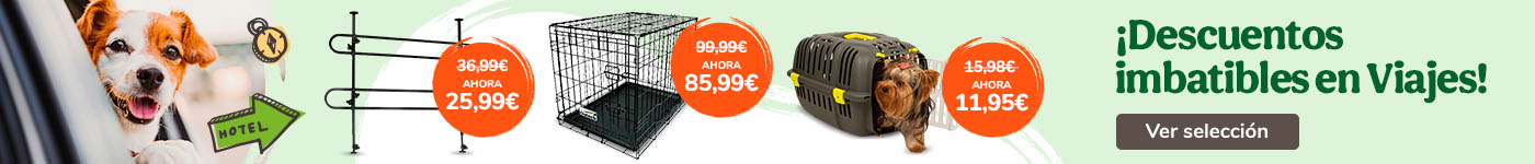 Descuentos imbatibles en viajes