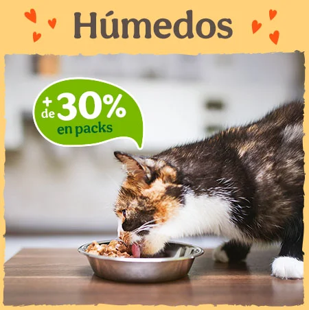 Más del 30% dto en packs de húmedos para gato.