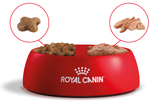 Royal Canin Alimentacion Optima