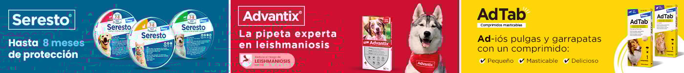 Adtab, Seresto y Advantix: gama completa de antiparasitarios para perros y gatos. Protege a tu animal todo el año