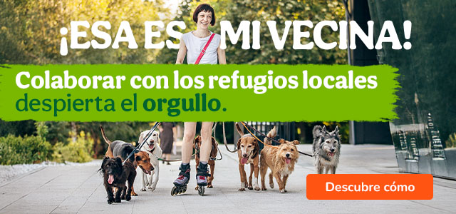 ESG: Descubre diferentes formas de ayudar a los animales vulnerables.