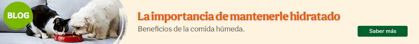 La importancia de la hidratación.