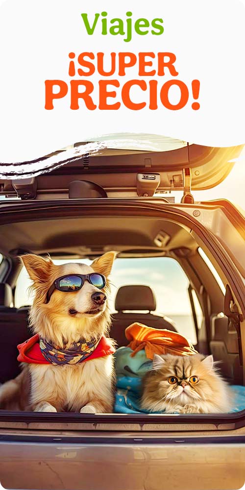 Súper precio en accesorios de viaje para tu peludo.