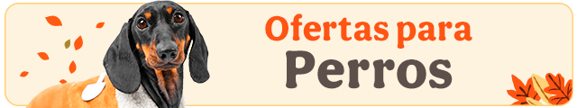 Todas las ofertas perro