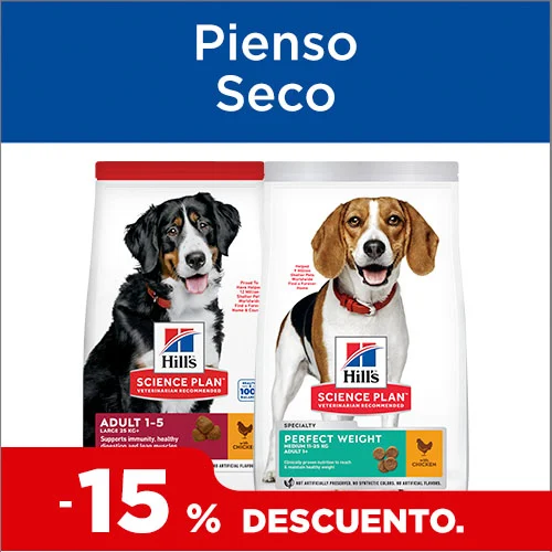 15% dto en pienso para perros.
