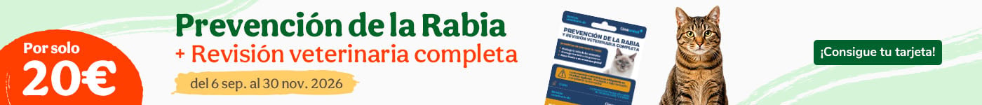 Tarjetas de vacuna contra la rabia para gatos.