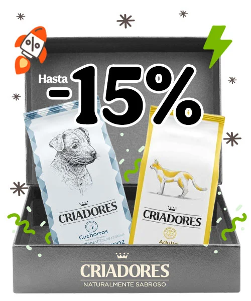 Criadores: 15% DTO