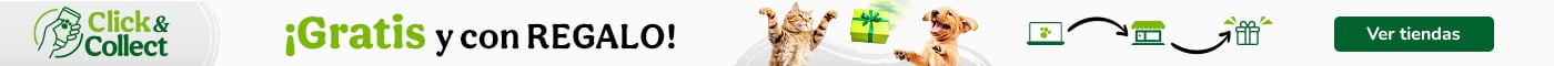 Click & Collect: Compra online, recoge en tienda y ¡recibe un regalo al recoger tu pedido!