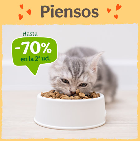 Hasta 70% dto en la 2ª unidad de piensos para tu gato.