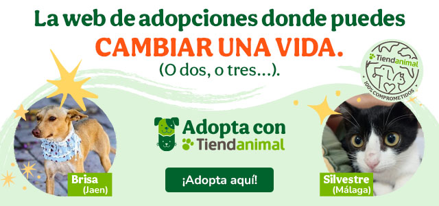 La adopción cambia vidas. Dale una oportunidad a un animal que lo necesita.