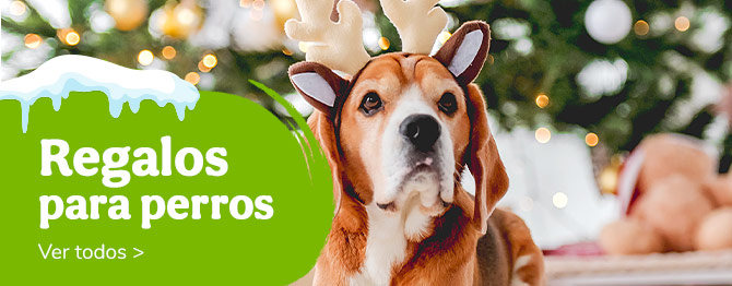 Inmuebles rastro explosión Perros - Comprar comida, pienso y accesorios | Tiendanimal