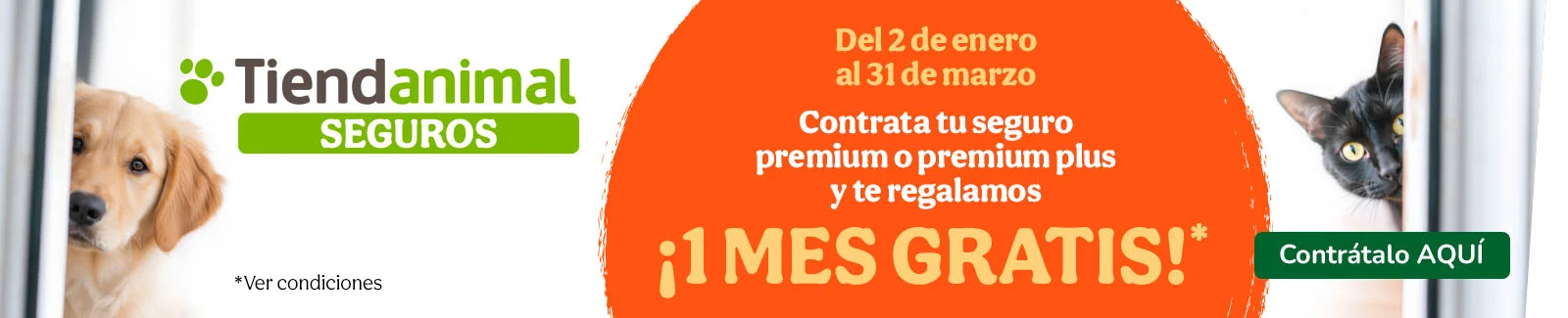 Tu seguro ahora con &iexcl;1 mes gratis!