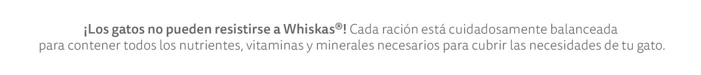 Whiskas: Todos los nutrientes, vitaminas y minerales que tu gato necesita