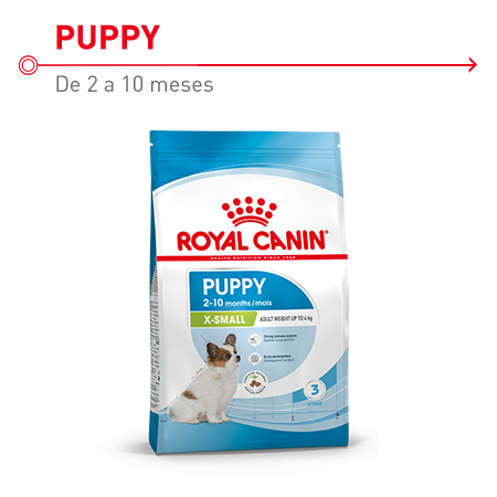 Royal Canin X-Small Puppy  pienso  indicado para  cachorros de razas miniatura hasta los 10 meses