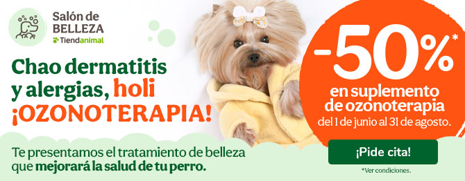 Ozonoterapia: Campaña para mascotas con problemas dermatológicos.