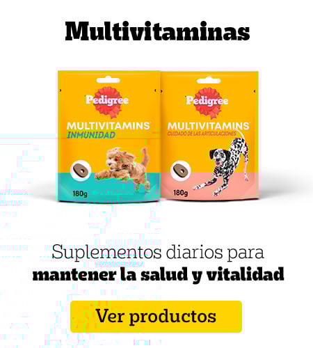 Multivitaminas