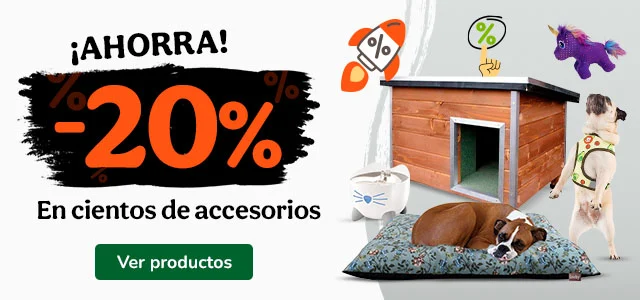 20% dto en todos los accesorios.