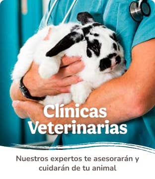 Clínicas veterinarias