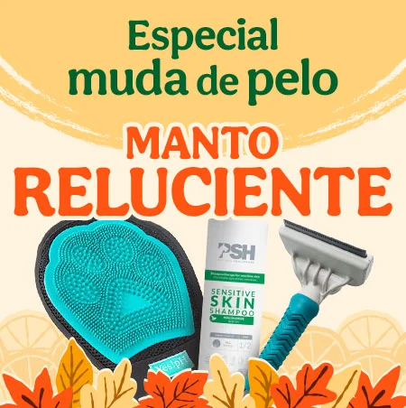 Cuida el manto de tu peludo con las mejores marcas.