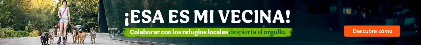 ESG: Descubre diferentes formas de ayudar a los animales vulnerables.