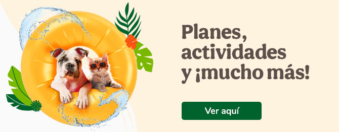 Planes, actividades y ¡muchos más!